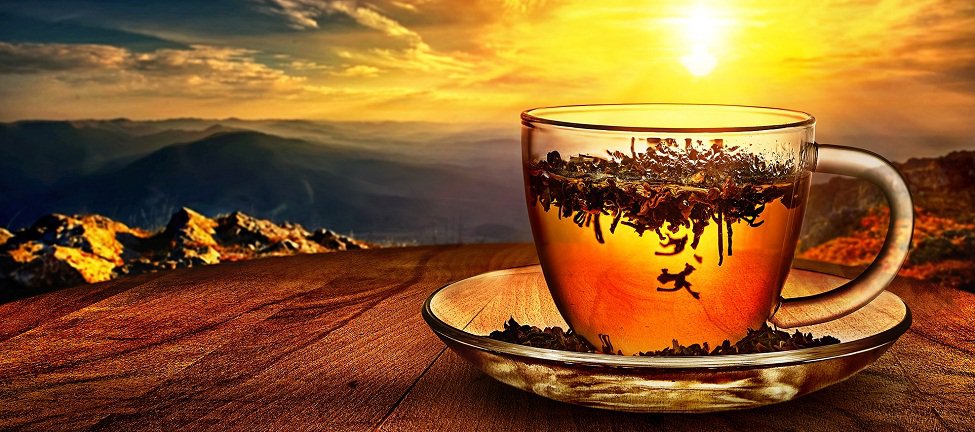 Satış Noktaları